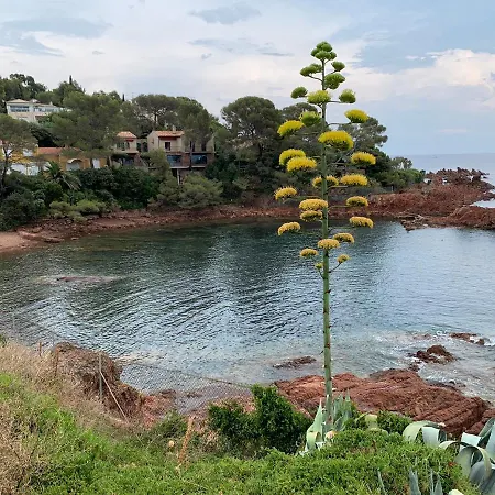 Apartament Le Nid T2 Grande Terrasse Au Parc Santa Lucia Raphael Bord De Mer Calanque A 100m *