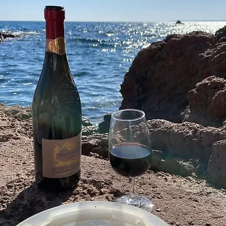 Le Nid T2 Grande Terrasse Au Parc Santa Lucia Raphael Bord De Mer Calanque A 100m Apartament *