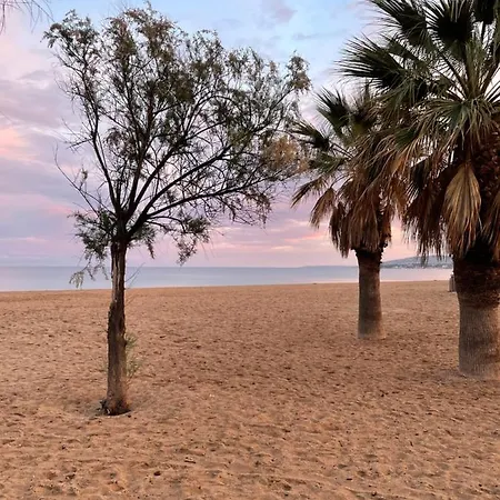 Le Nid T2 Grande Terrasse Au Parc Santa Lucia Raphael Bord De Mer Calanque A 100m Апартаменти